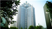 洛陽(yáng)開(kāi)元礦業(yè)集團(tuán)有限公司，始成立于2006年，主營(yíng)業(yè)務(wù)涵蓋礦產(chǎn)品貿(mào)易、礦山開(kāi)發(fā)、酒店服務(wù)、房地產(chǎn)開(kāi)發(fā)和金融投資等，集團(tuán)位于洛陽(yáng)市開(kāi)元大道世貿(mào)中心；中國(guó)民主建國(guó)會(huì)會(huì)員、青年企業(yè)家許明月先生是公司創(chuàng)始人和實(shí)際控制人，目前任洛陽(yáng)開(kāi)元礦業(yè)集團(tuán)有限公司董事長(zhǎng)兼總經(jīng)理。