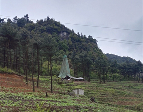 把脈“黔”鋅地，問診開良方
